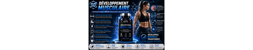 Développement musculaire