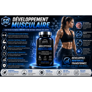 Développement musculaire