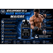 Développement de la masse musculaire maigre