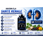Kidney Support